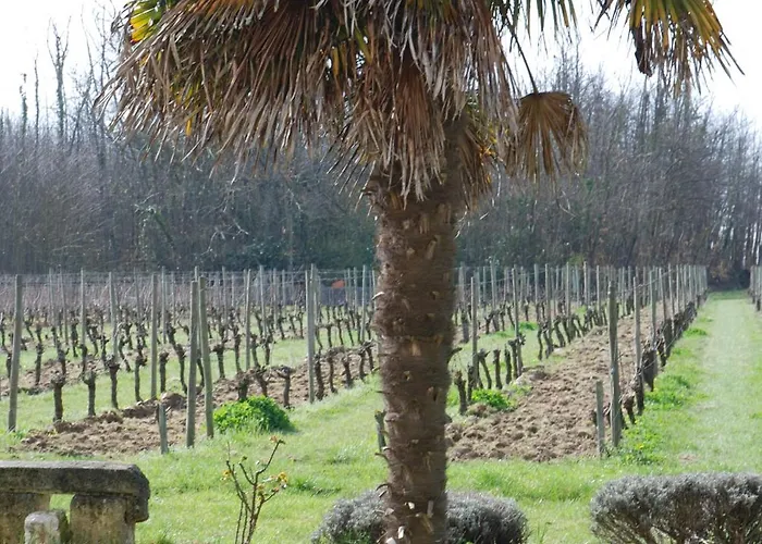 D'hotes De Charme Dans Un Vignoble Bed & Breakfast