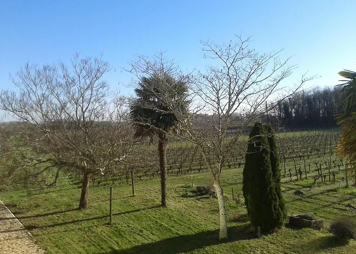 D'hotes De Charme Dans Un Vignoble Saint-Trojan